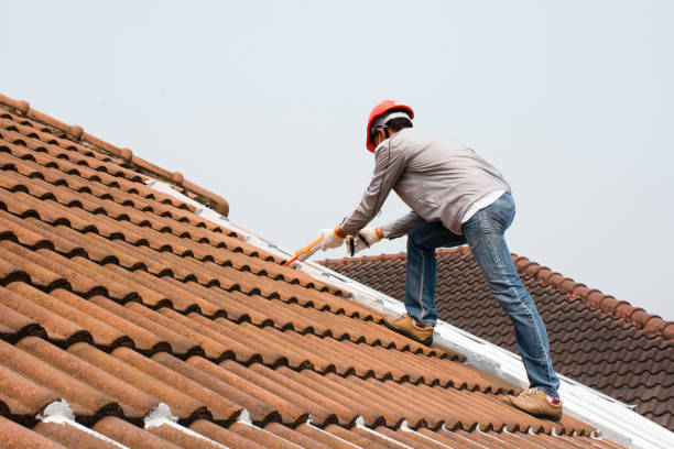 EPDM Roofing in Paisley, FL